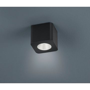 Helestra LED-Deckenleuchte OSO schwarz 15/1552.22